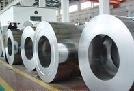 0.14mm 1.0mm Endüstriyel Dondurucular İçin Sıcak Daldırma Galvanizli Çelik Rulo